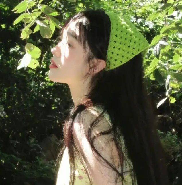 明星间谍